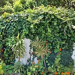 La De Ananas - House