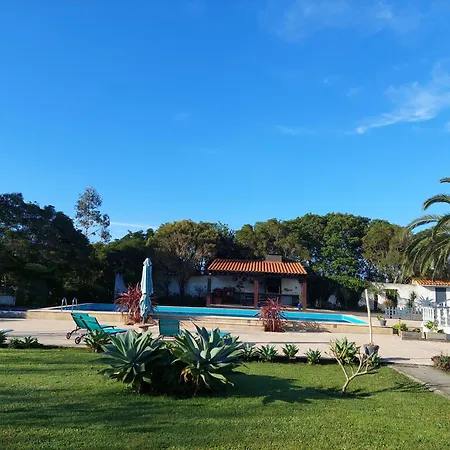 La De Ananas - House Ponta Delgada